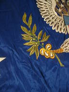 Arms Detail