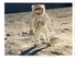NASA - Buzz Aldrin Autographed Photo. 